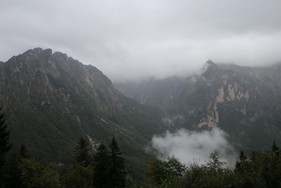 IMG_2770-min.JPG