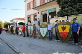 IMG_5302.jpg